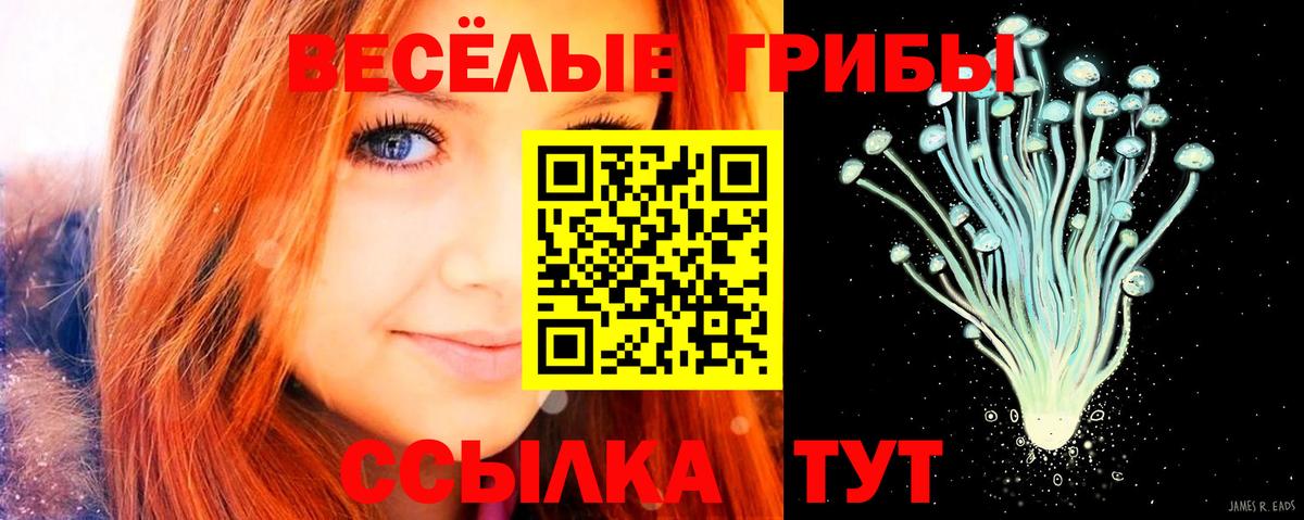 Псилоцибиновые грибы мухоморы  Вход с VPN  Галлюциногенные грибы Magic Shrooms  Светлоград 